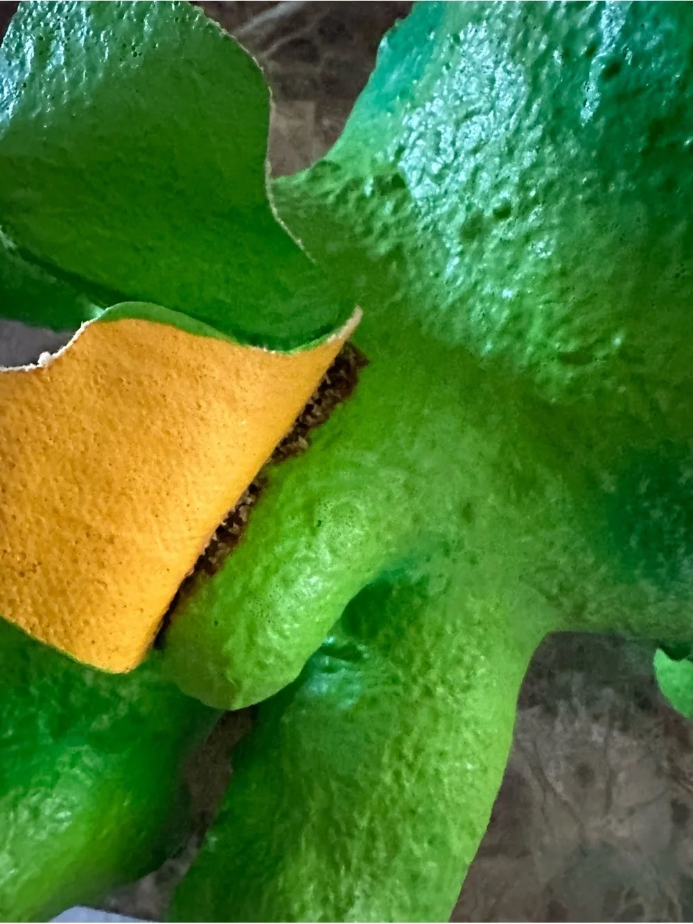 Green & Purple Plush Dragon Small Pet Toy